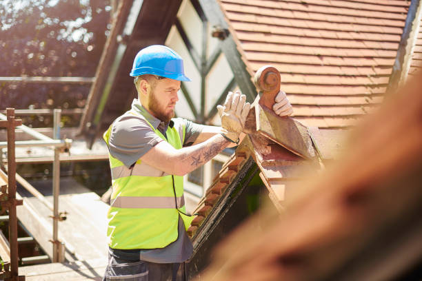 Best Roof Gutter Cleaning  in Wayne, OH