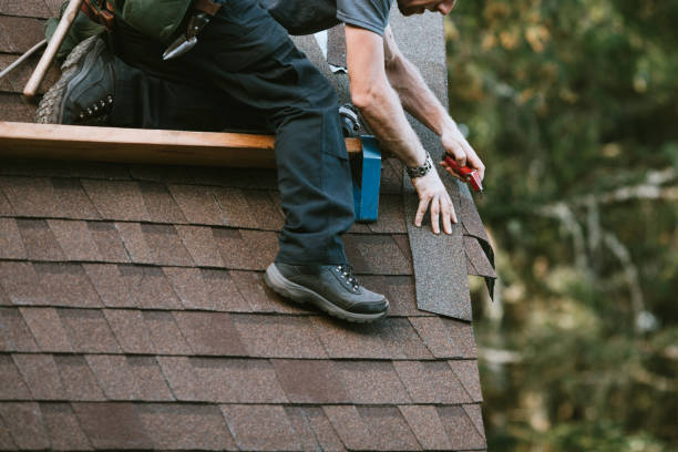 Best Roof Repair Services  in Wayne, OH